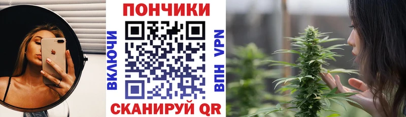 Каннабис OG Kush Закаменск